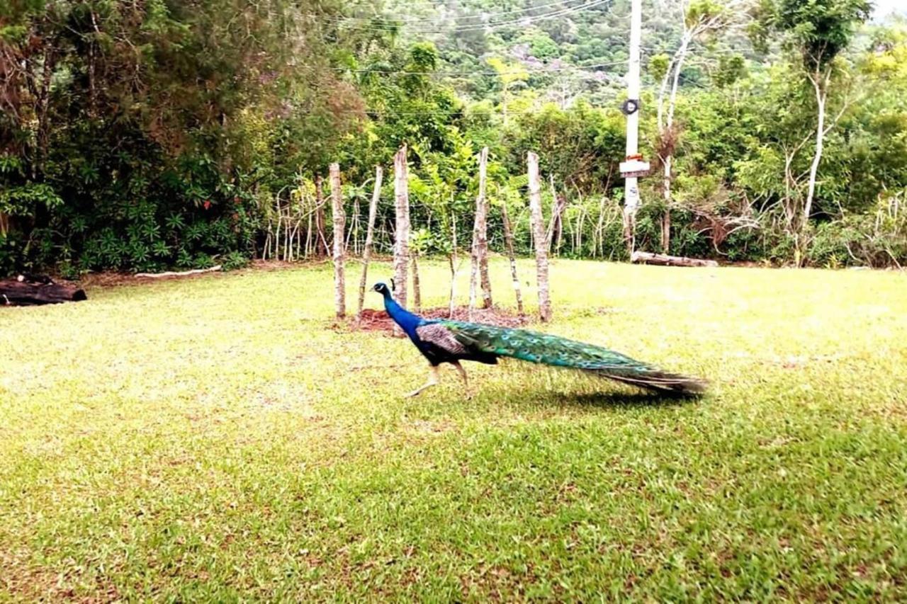 Sitio Sao Francisco Capacidade 30 Pessoas Juquitiba Sp Villa Kültér fotó